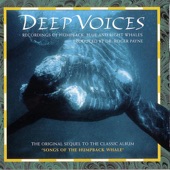 Deep Voices - Recordings of Humpback, Blue and Right Whales artwork