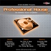 Sfera Records Presents: Professional House Vol.1, 2011