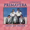 Ando Sin Frenos album lyrics, reviews, download