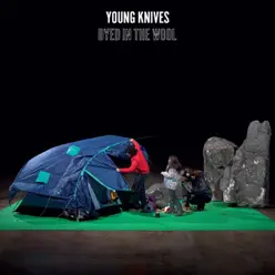 Dyed In the Wool - Single - Young Knives