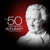 The 50 Most Essential Schubert Masterpieces artwork