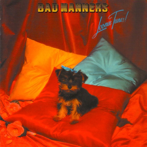 Art for Echo Gone Wrong by Bad Manners