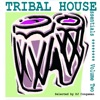 Tribal House Essentials Vol. 2, 2010
