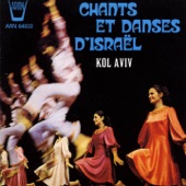 Chants et danses d'Israël artwork