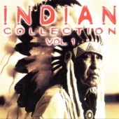 Indian Collection, Vol. 1 artwork