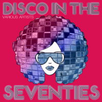 Various Artists - Disco In The Seventies artwork