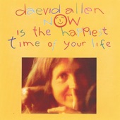 Only Make Love If You Want To by Daevid Allen