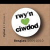 Ciwdod: Y Senglau 2004 - 2010., 2010