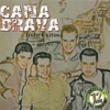 Caña Brava: Todo Exitos, 2004