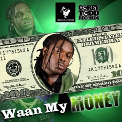 Jah Vinci - Wah My Money
