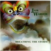 Breathing the Storm, 1992