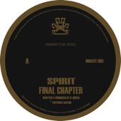 Final Chapter / Raygun