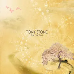 The Creation by Tony Stone album reviews, ratings, credits
