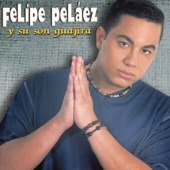 Felipe Pelaez y Su Son Guajira artwork