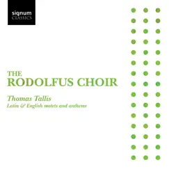 Thomas Tallis: Latin & English motets and anthems by Rodolfus Choir & Ralph Allwood album reviews, ratings, credits