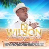 DJ Wilson (Anthologie Zouk) [Le Best of du DJ producteur no. 1 Caribbean] artwork