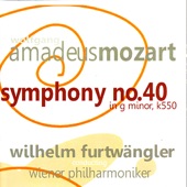 Symphony No. 40 In G Minor, K. 550: I. Molto Allegro artwork