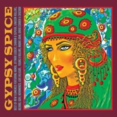 Nova Menco - Gypsy Fusion