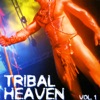 Tribal Heaven, Vol. 1