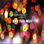 Say You Will artwork