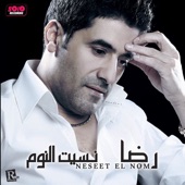 Neseet el Nom artwork