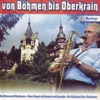 Blaskapelle Otto Ebner - Paternachtaler Plattler