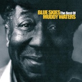 Blue Skies - The Best of Muddy Waters artwork