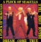 Cry Like a Baby - A Flock of Seagulls lyrics