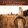 Entre Amigos - Grandes Exitos del Folklore Argentino