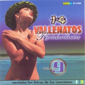14 Vallenatos Románticos, Vol. 9 artwork