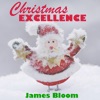 Christmas Excellence