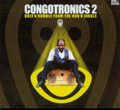 Congotronics 2: Buzz'n'rumble from the Urb'n'jungle, 2005