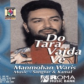 Do Tara Vajda Ve artwork