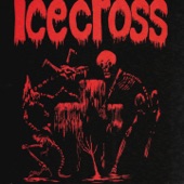 Icecross - Solution