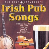 The Best 40 Favourite Irish Pub Songs artwork