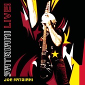 Satriani Live artwork