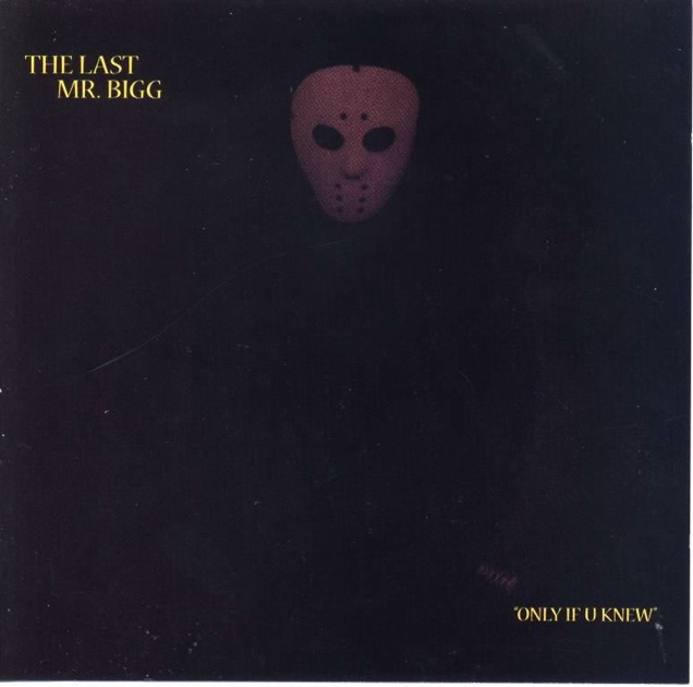 The Mask Is Off By The Last Mr Bigg On Itunes