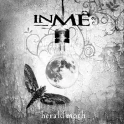 Herald Moth - Inme