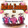 Estampas Musicales Con la Marimba Zandunga