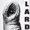 Power of Lard - EP