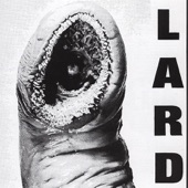 LARD - The Power of Lard