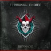 Terminal Choice