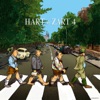 Hart & Zart 4, 2011