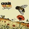 Pauper In a Palace - Chris Velan lyrics