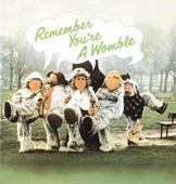 Remember You're A Womble