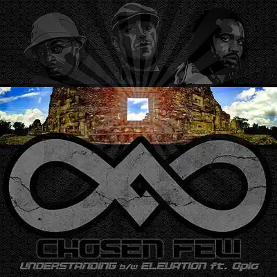 Understanding / Elevation - Single - Chosen Few