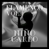 Flamenco: Niño Ricardo Vol.1
