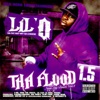 Tha Flood 1.5, 2010