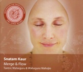 Meditations for Transformation 1: Merge & Flow artwork