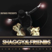 Shaggy & Friends artwork